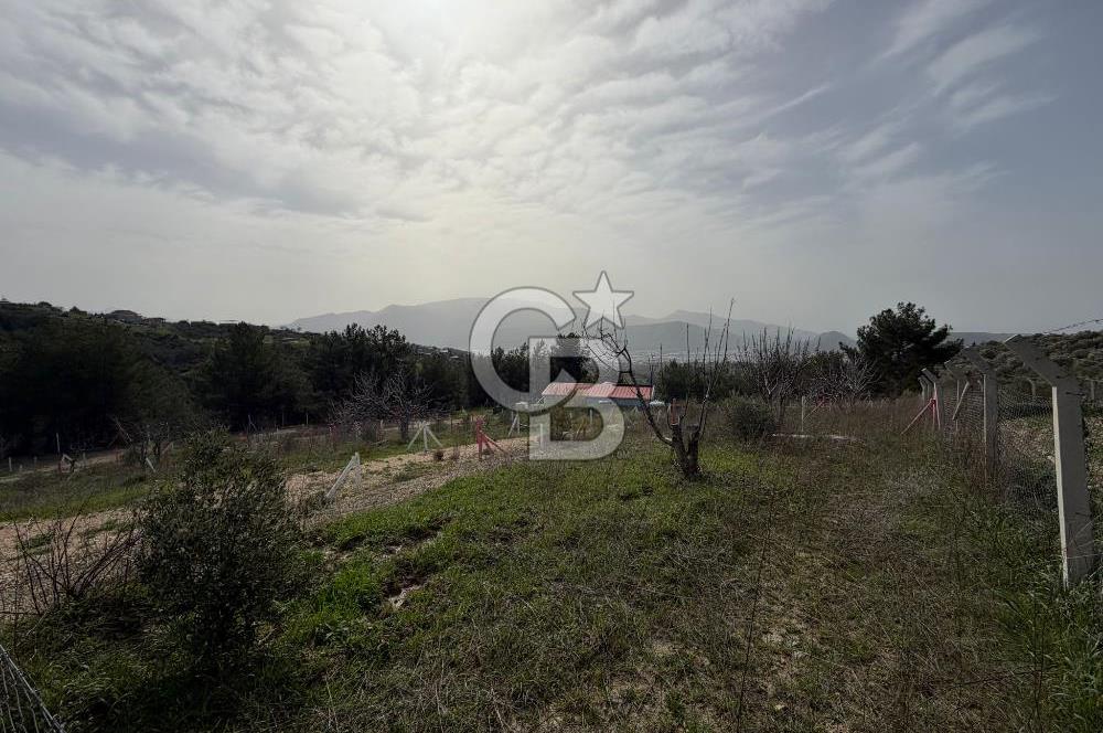 MUSELAND- Damlacık'ta 6521 m² Satılık Tarla - Müstakil Tapulu