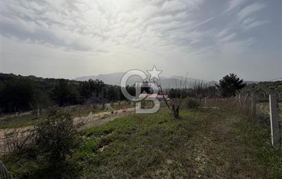 MUSELAND- Damlacık'ta 6521 m² Satılık Tarla - Müstakil Tapulu