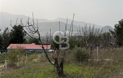 MUSELAND- Damlacık'ta 6521 m² Satılık Tarla - Müstakil Tapulu