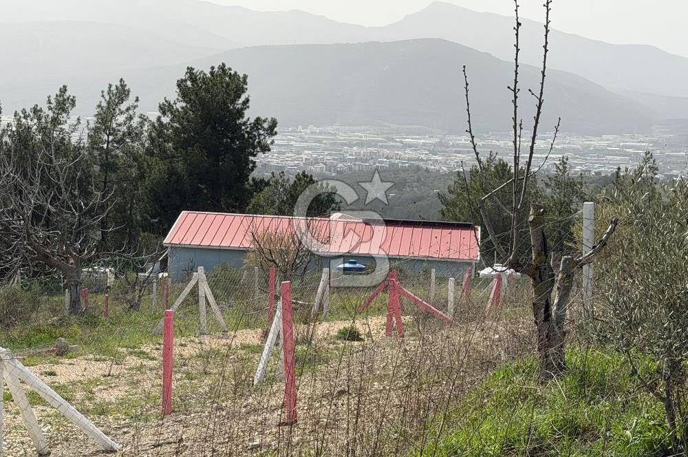 MUSELAND- Damlacık'ta 6521 m² Satılık Tarla - Müstakil Tapulu