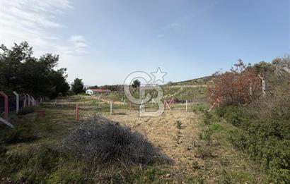 MUSELAND- Damlacık'ta 6521 m² Satılık Tarla - Müstakil Tapulu