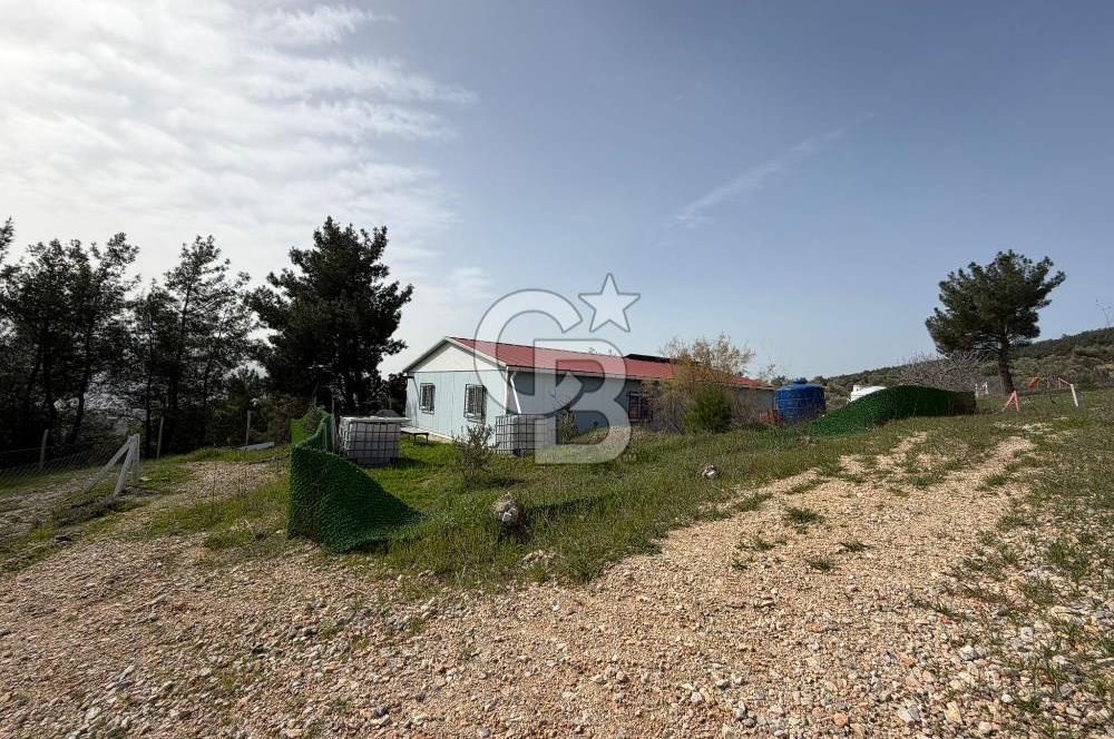 MUSELAND- Damlacık'ta 6521 m² Satılık Tarla - Müstakil Tapulu