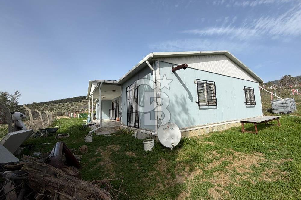 MUSELAND- Damlacık'ta 6521 m² Satılık Tarla - Müstakil Tapulu