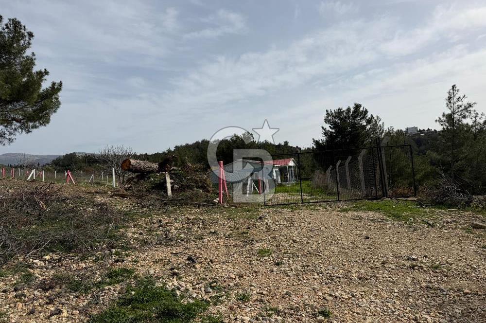 MUSELAND- Damlacık'ta 6521 m² Satılık Tarla - Müstakil Tapulu