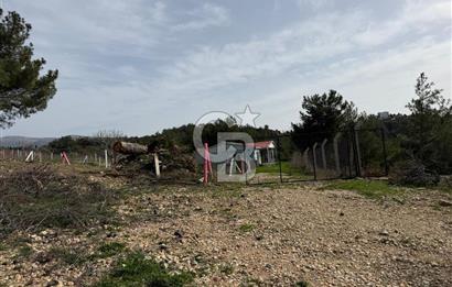 MUSELAND- Damlacık'ta 6521 m² Satılık Tarla - Müstakil Tapulu