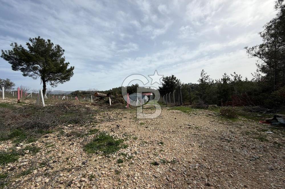 MUSELAND- Damlacık'ta 6521 m² Satılık Tarla - Müstakil Tapulu