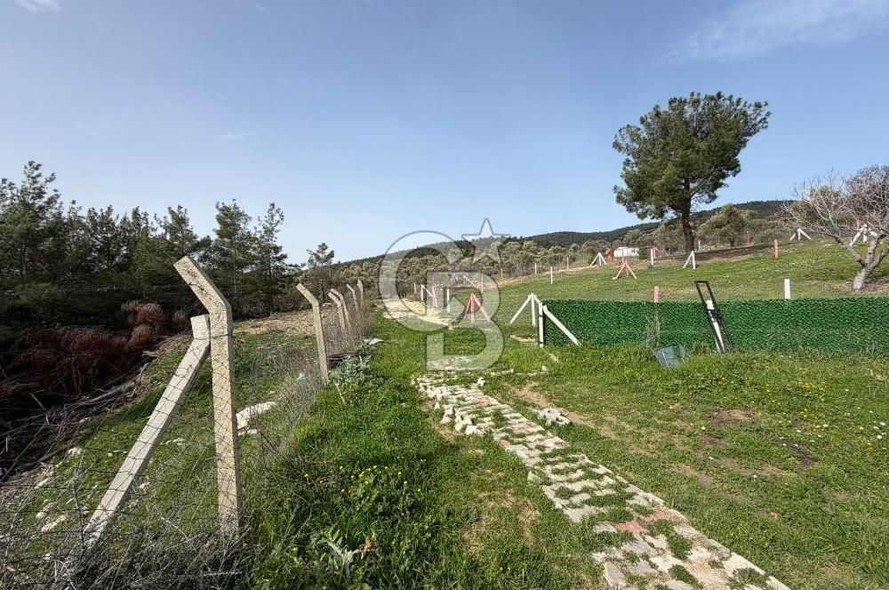 MUSELAND- Damlacık'ta 6521 m² Satılık Tarla - Müstakil Tapulu