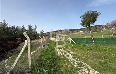 MUSELAND- Damlacık'ta 6521 m² Satılık Tarla - Müstakil Tapulu