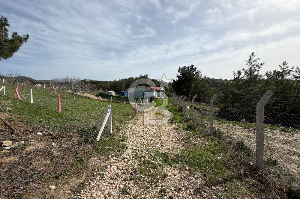 MUSELAND- Damlacık'ta 6521 m² Satılık Tarla - Müstakil Tapulu