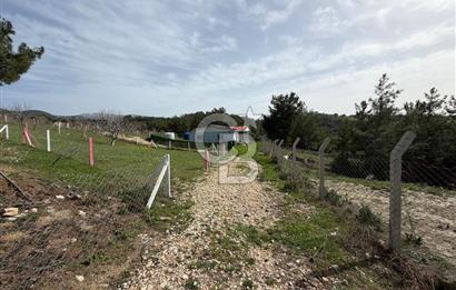 MUSELAND- Damlacık'ta 6521 m² Satılık Tarla - Müstakil Tapulu