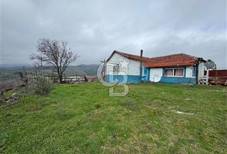 MUSELAND- Bergama Halilağalar Satılık Arsa ve Taş Ev - 6 - 334675