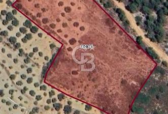 Datça Yaka Sındı’da Zeytincik Manzaralı , Yatırımlık Tarla | Palamutbükü’ne Yakın - 1 - 334741