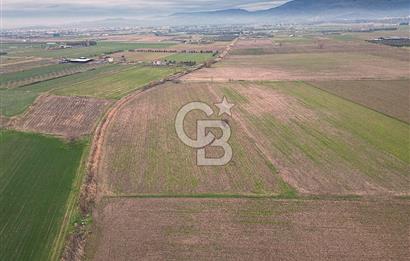 ALTINOVA MAHALLESİ’NDE SATILIK 18.869 m² TARLA 