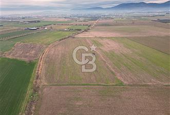 ALTINOVA MAHALLESİ’NDE SATILIK 18.869 m² TARLA  - 2 - 334728