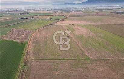 ALTINOVA MAHALLESİ’NDE SATILIK 18.869 m² TARLA 