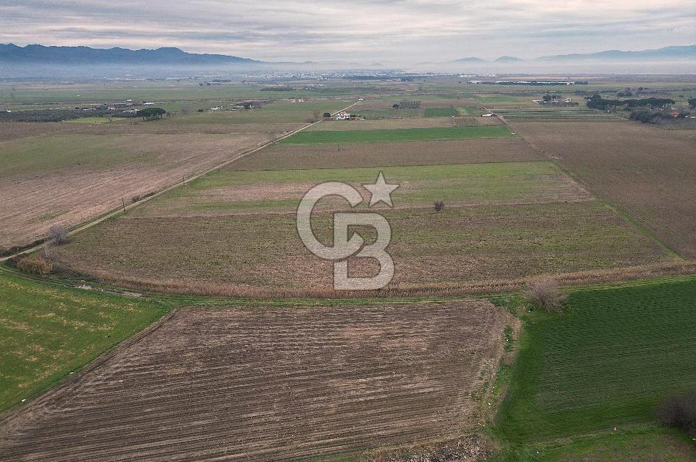 ALTINOVA MAHALLESİ’NDE SATILIK 18.869 m² TARLA 