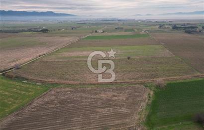 ALTINOVA MAHALLESİ’NDE SATILIK 18.869 m² TARLA 