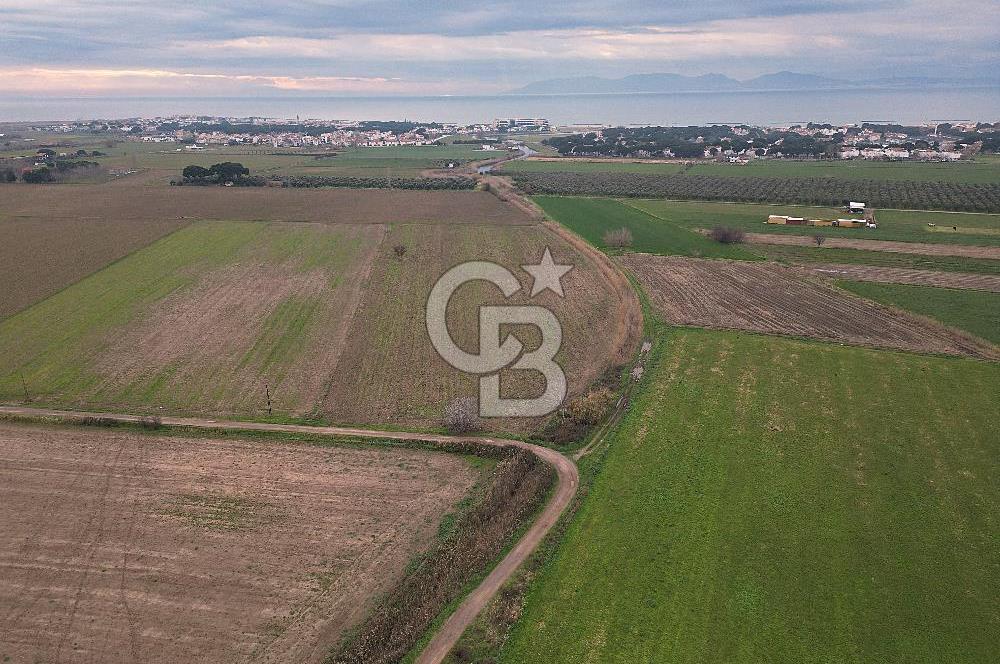 ALTINOVA MAHALLESİ’NDE SATILIK 18.869 m² TARLA 