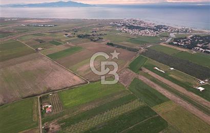 ALTINOVA MAHALLESİ’NDE SATILIK 18.869 m² TARLA 