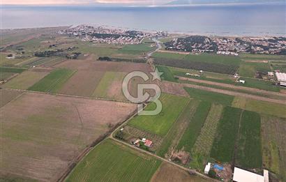 ALTINOVA MAHALLESİ’NDE SATILIK 18.869 m² TARLA 