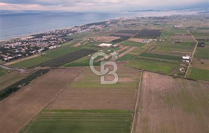 ALTINOVA MAHALLESİ’NDE SATILIK 18.869 m² TARLA 