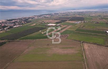 ALTINOVA MAHALLESİ’NDE SATILIK 18.869 m² TARLA 