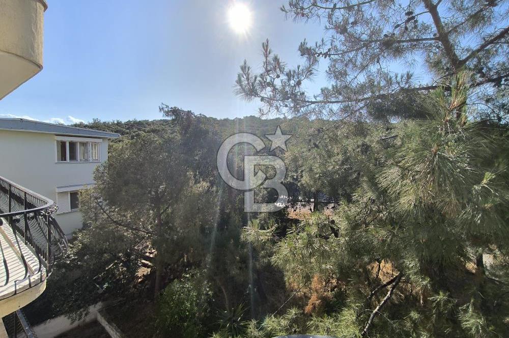 Ayvalık Sefa Çamlık Mahallesinde 3+1 Kiralık Daire – YILLIK KİRALIK