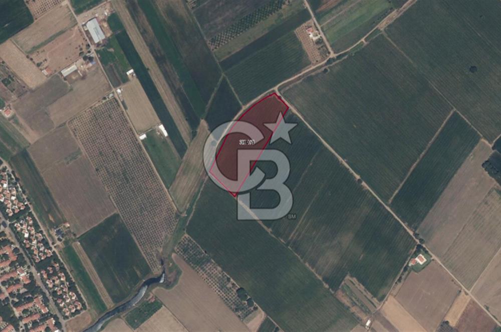 ALTINOVA MAHALLESİ’NDE SATILIK 18.869 m² TARLA 