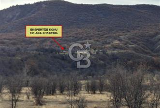 CB VİZYON ÇANKIRI ILGAZ BELÖREN KÖYÜ SATILIK TARLA  - 5 - 334773