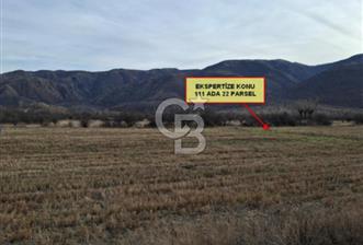 CB VİZYON’DAN ÇANKIRI ILGAZ BELÖREN KÖYÜ SATILIK TARLA 920m2 - 4 - 334883