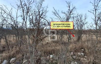 CB VİZYON’DAN ÇANKIRI ILGAZ BELÖREN KÖYÜ SATILIK TARLA  1.126m2