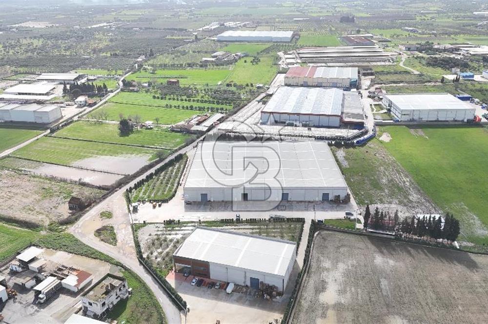 Kemalpaşa Armutlu Kiralık 2000 M2 Kapalı Alan