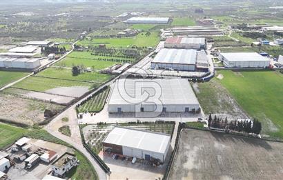 Kemalpaşa Armutlu Kiralık 2000 M2 Kapalı Alan