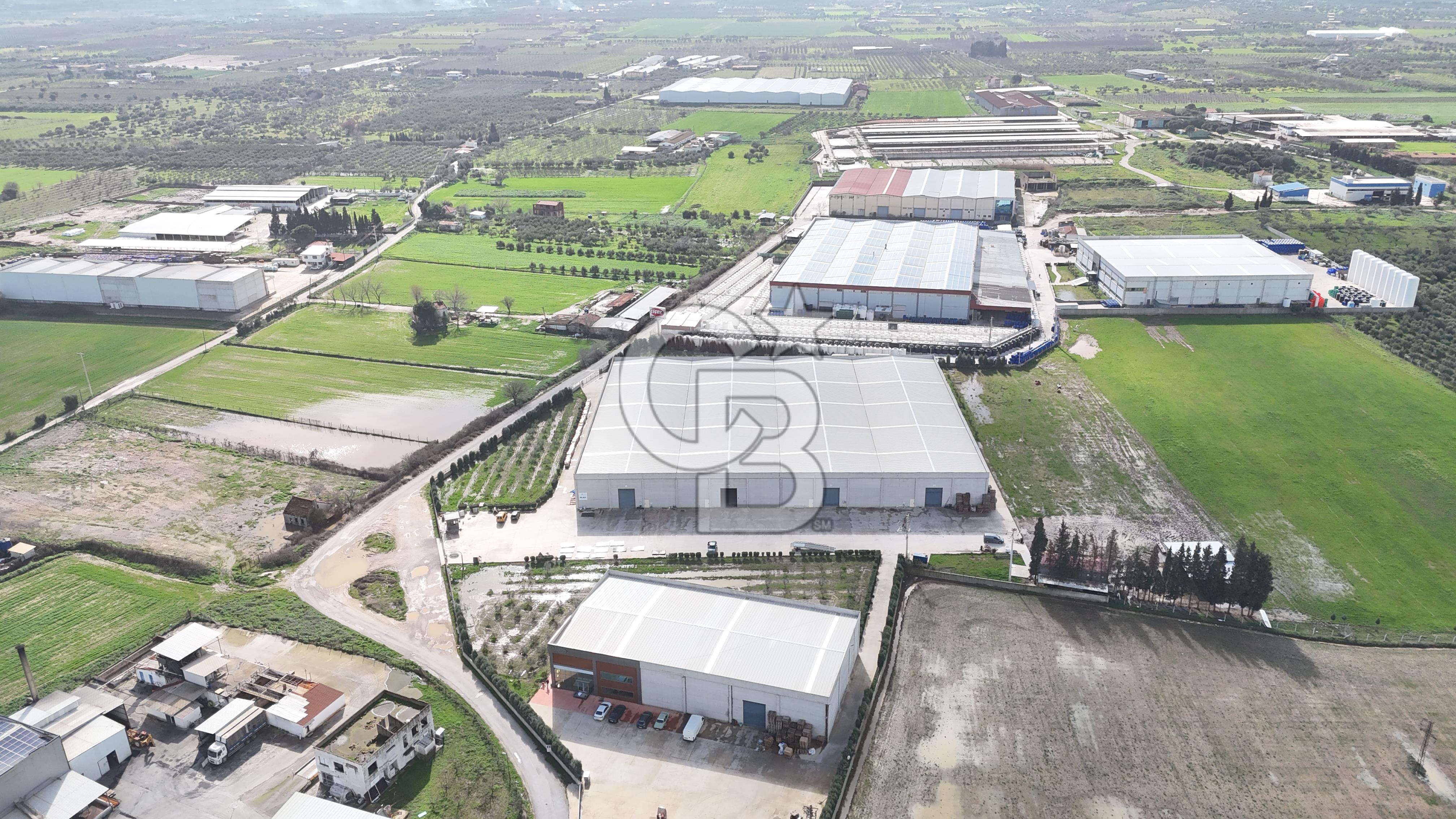 Kemalpaşa Armutlu Kiralık 2000 M2 Kapalı Alan