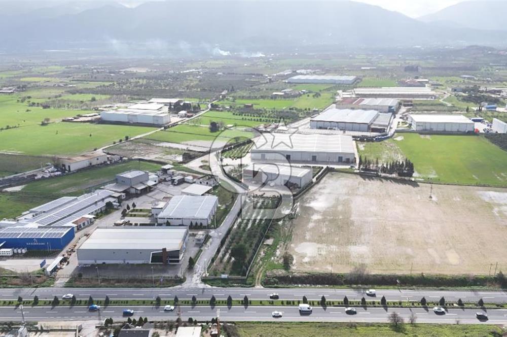 Kemalpaşa Armutlu Kiralık 2000 M2 Kapalı Alan
