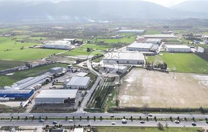 Kemalpaşa Armutlu Kiralık 2000 M2 Kapalı Alan