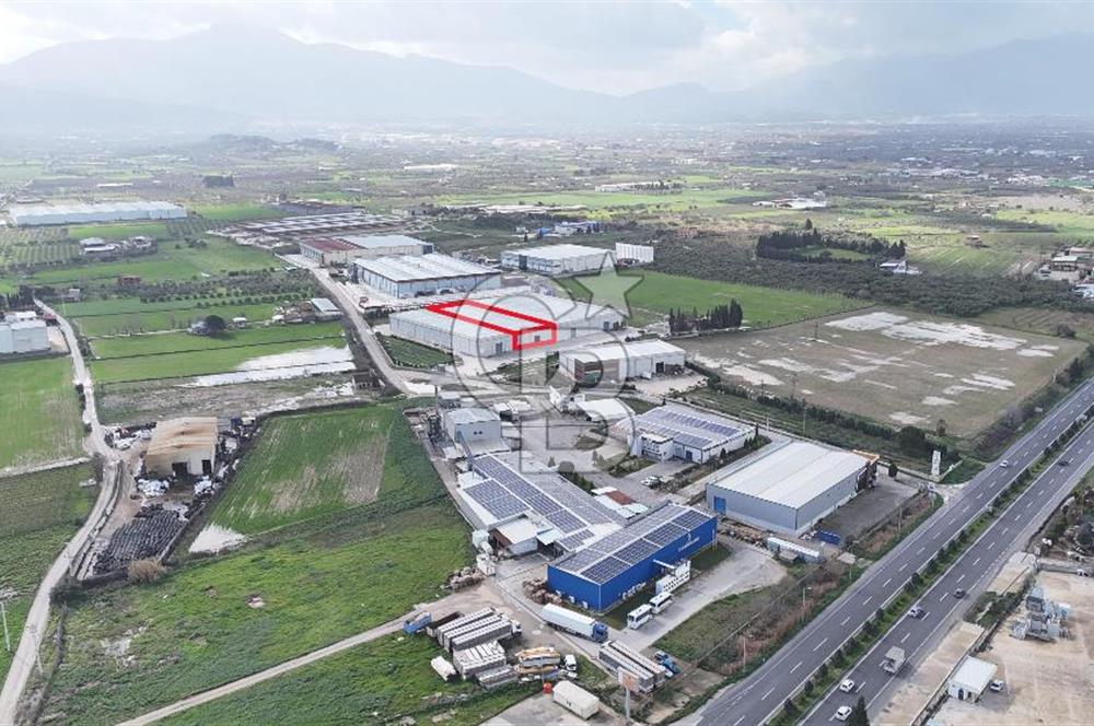 Kemalpaşa Armutlu Kiralık 2000 M2 Kapalı Alan