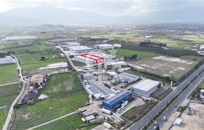 Kemalpaşa Armutlu Kiralık 2000 M2 Kapalı Alan