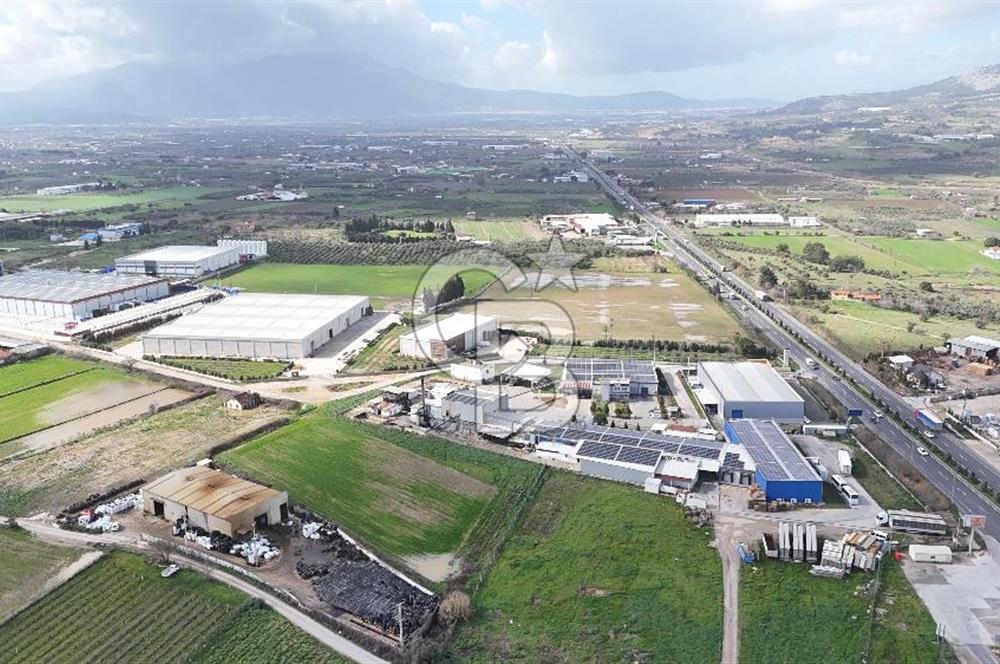 Kemalpaşa Armutlu Kiralık 2000 M2 Kapalı Alan