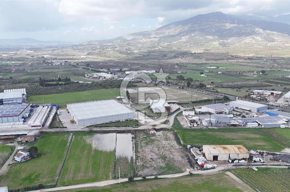 Kemalpaşa Armutlu Kiralık 2000 M2 Kapalı Alan