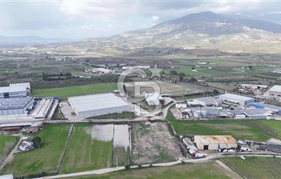 Kemalpaşa Armutlu Kiralık 2000 M2 Kapalı Alan