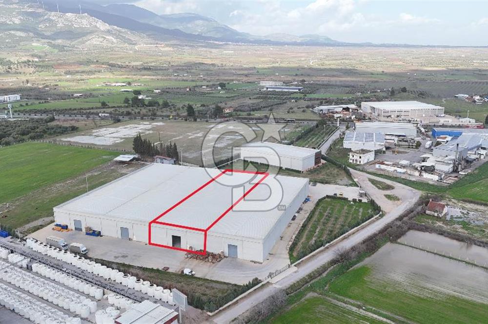 Kemalpaşa Armutlu Kiralık 2000 M2 Kapalı Alan