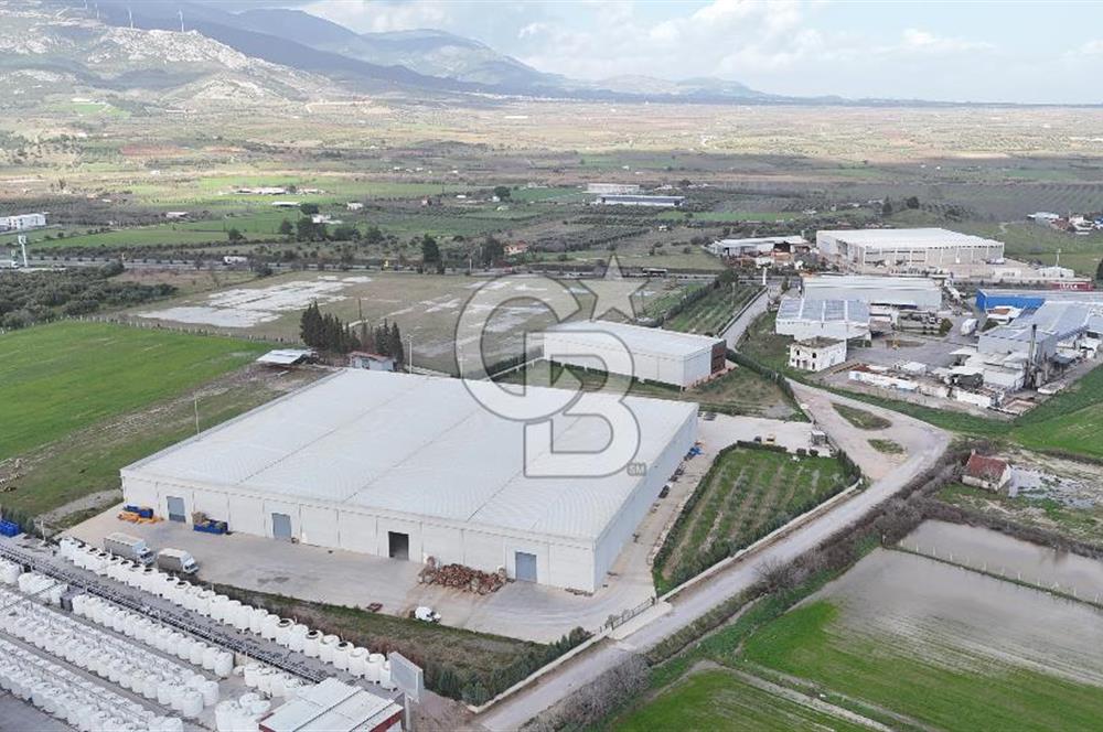 Kemalpaşa Armutlu Kiralık 2000 M2 Kapalı Alan