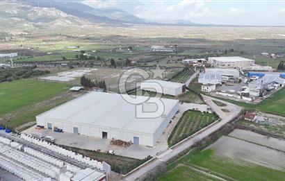 Kemalpaşa Armutlu Kiralık 2000 M2 Kapalı Alan