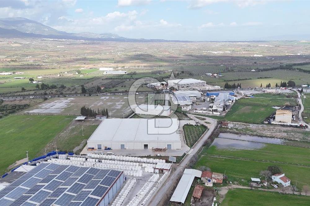 Kemalpaşa Armutlu Kiralık 2000 M2 Kapalı Alan