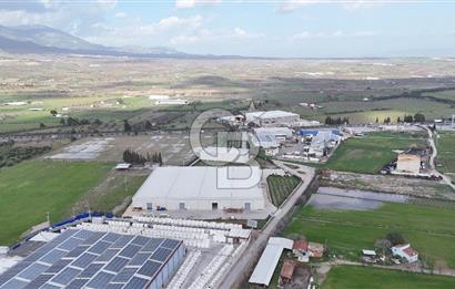 Kemalpaşa Armutlu Kiralık 2000 M2 Kapalı Alan