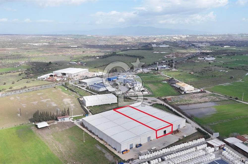 Kemalpaşa Armutlu Kiralık 2000 M2 Kapalı Alan