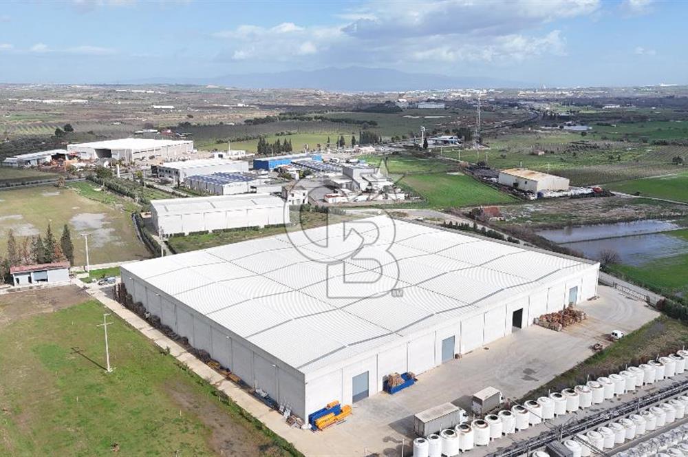 Kemalpaşa Armutlu Kiralık 2000 M2 Kapalı Alan