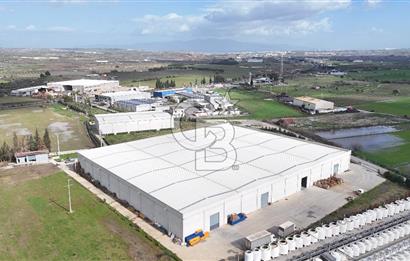 Kemalpaşa Armutlu Kiralık 2000 M2 Kapalı Alan