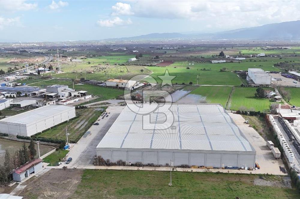 Kemalpaşa Armutlu Kiralık 2000 M2 Kapalı Alan